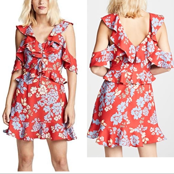 C/Mel Collective - Red Floral Mini Dress - Picture 4 of 8